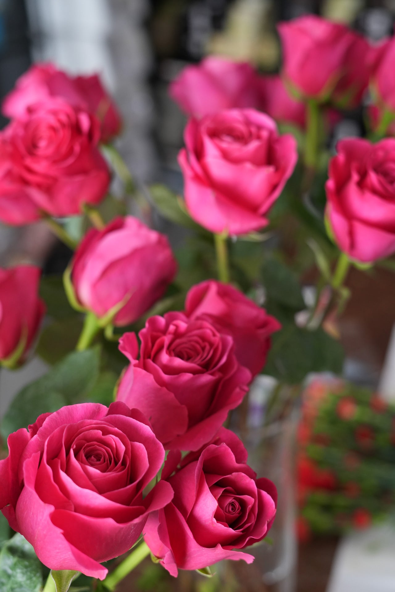 Ecuadorian Rose Bouquet