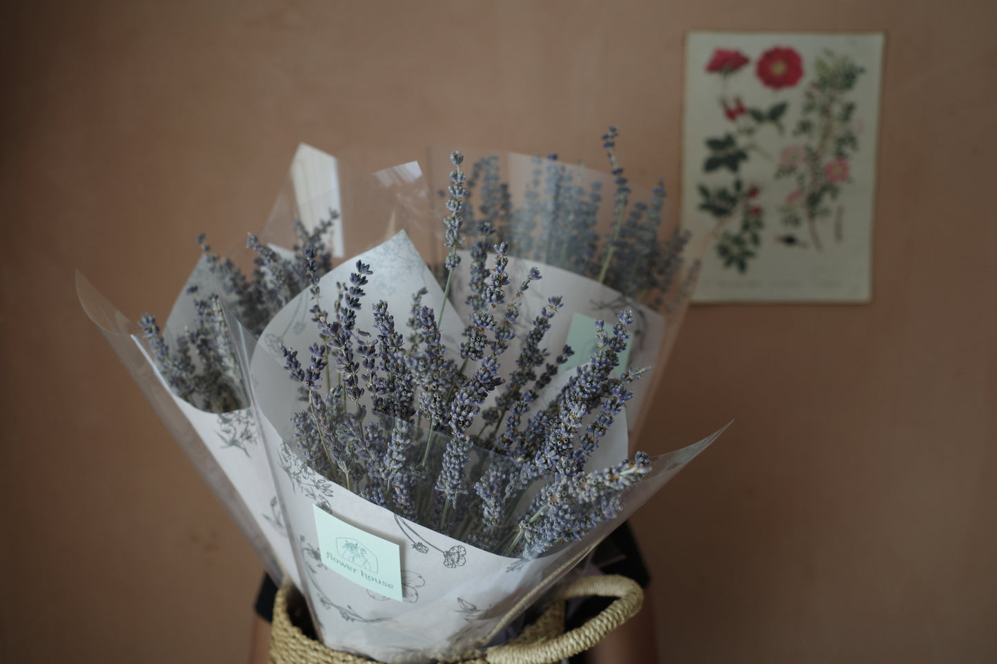 Dried Lavender