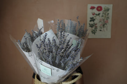 Dried Lavender