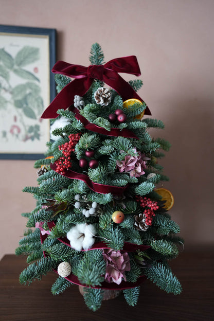 Fresh Christmas Tree