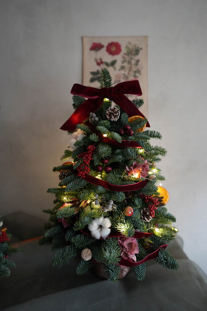 Fresh Christmas Tree